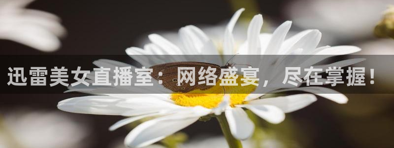 乐球吧足球直播吧：迅雷美女直播室：网络盛宴，尽在掌握！