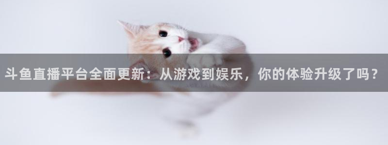 乐球直播足球免费版：斗鱼直播平台全面更新：从游戏到娱乐，你的体验升级了吗？