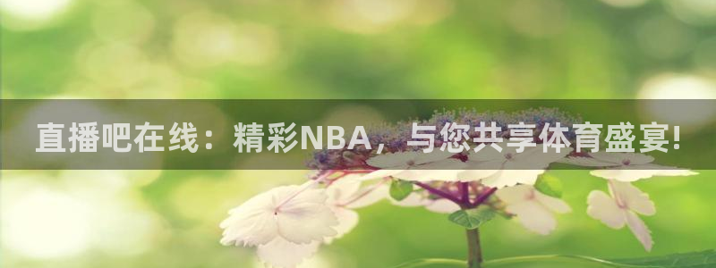 乐球直播间：直播吧在线：精彩NBA，与您共享体育盛宴!