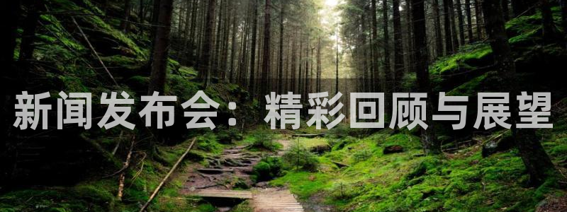 乐球直播ios正版下载入口：新闻发布会：精彩回顾与展望