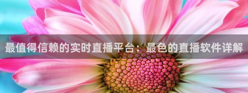 乐球直播足球免费版：最值得信赖的实时直播平台：最色的直播软件详解