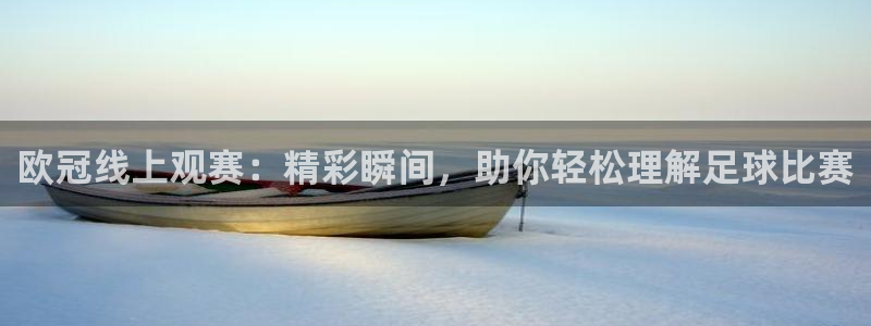 下载乐球直播：欧冠线上观赛：精彩瞬间，助你轻松理解足球比赛