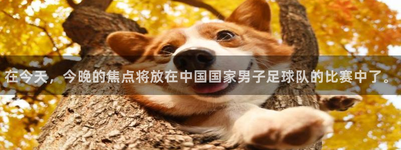 乐球tv直播：在今天，今晚的焦点将放在中国国家男子足球队的比赛中了。