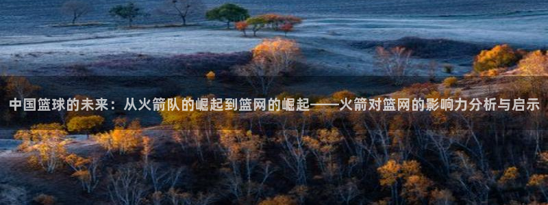 乐球直播平台：中国篮球的未来：从火箭队的崛起到篮网的崛起——火箭对篮网的影响力分析与启示