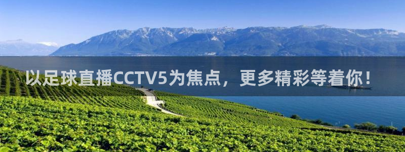 乐球直播ios官方下载：以足球直播CCTV5为焦点，更多精彩等着你！