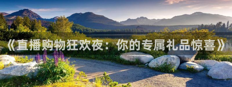 乐球tv直播：《直播购物狂欢夜：你的专属礼品惊喜》