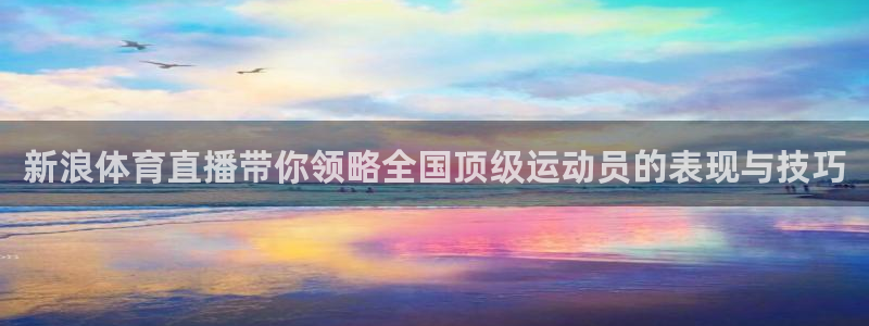 乐球直播免费看球赛：新浪体育直播带你领略全国顶级运动员的表现与技巧