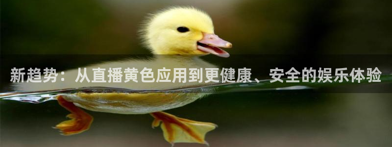 乐球直播苹果下载：新趋势：从直播黄色应用到更健康、安全的娱乐体验
