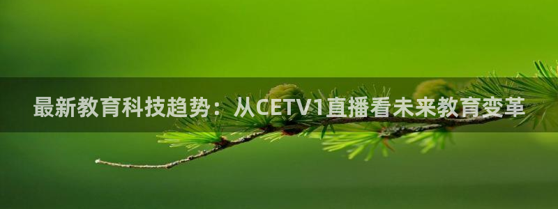 乐球直播无插件nba：最新教育科技趋势：从CETV1直播看未来教育变革