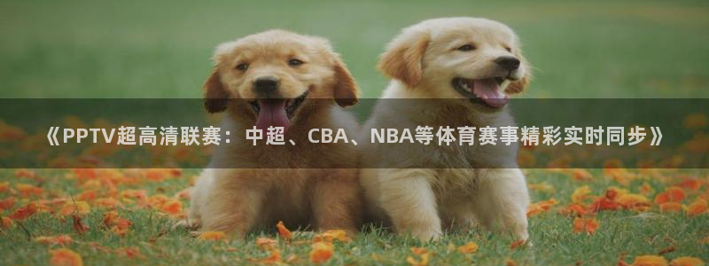 乐球直播免费体育直播下载：《PPTV超高清联赛：中超、CBA、NBA等体育赛事精彩实时同步》